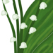 Muguet (logo)